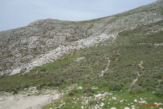 DSC03900