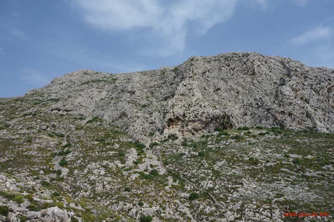 DSC03905
