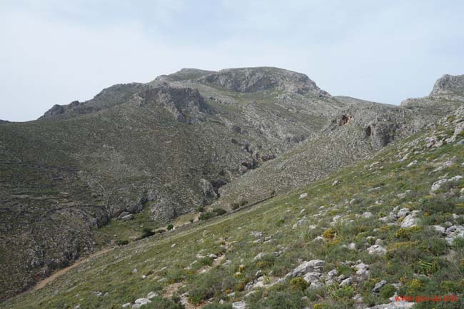 DSC03917