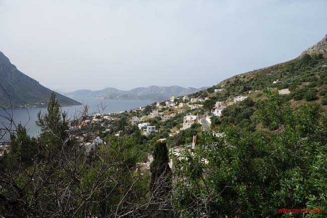 DSC03934