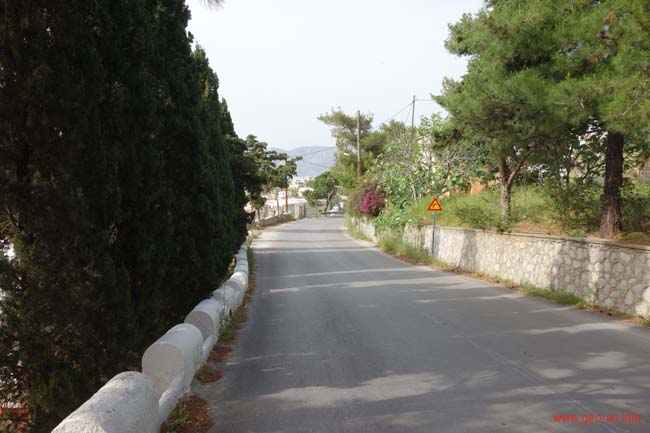 DSC03940