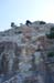 DSC03960