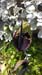 WP_20140423_12_06_38_Pro