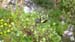WP_20140423_15_27_42_Pro