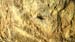 WP_20140425_19_05_44_Pro