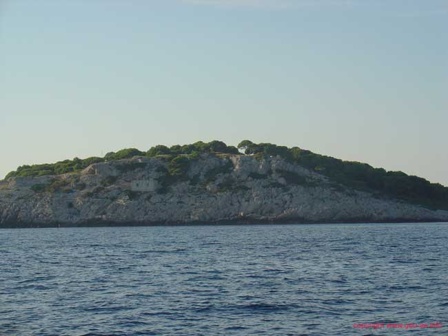 DSC00841