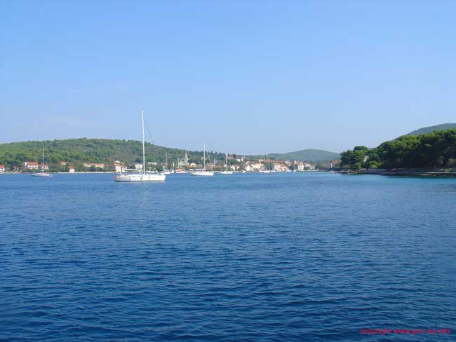 DSC00855