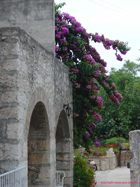 DSC00881