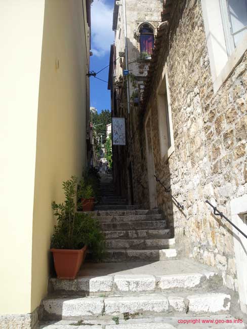 Foto0201