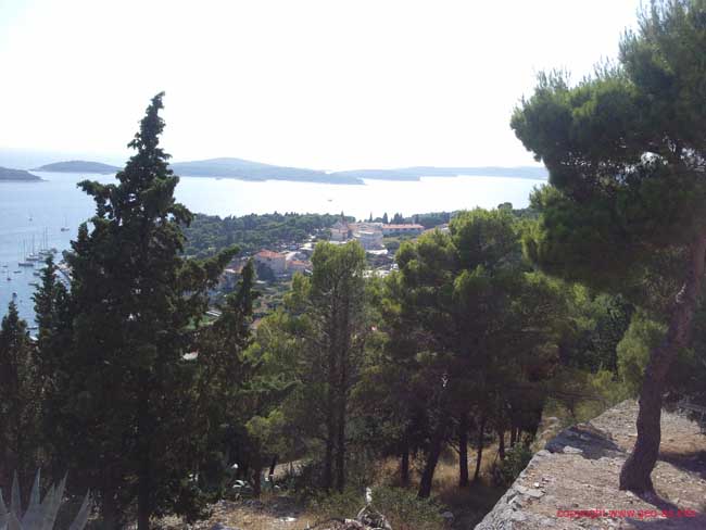 Foto0220