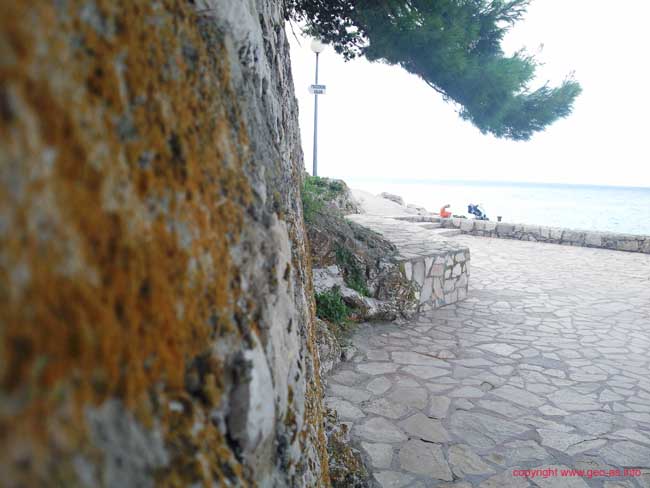 Foto0363