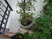 Foto0373