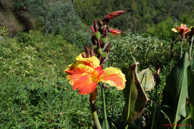 DSC01464
