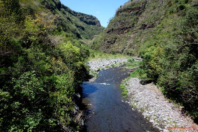 DSC01635