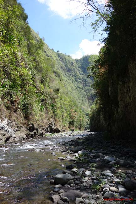 DSC01682