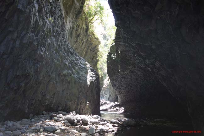 DSC01713