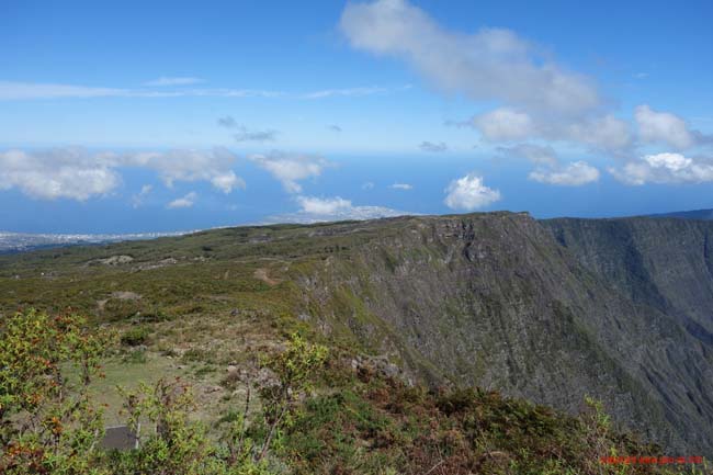 DSC01877