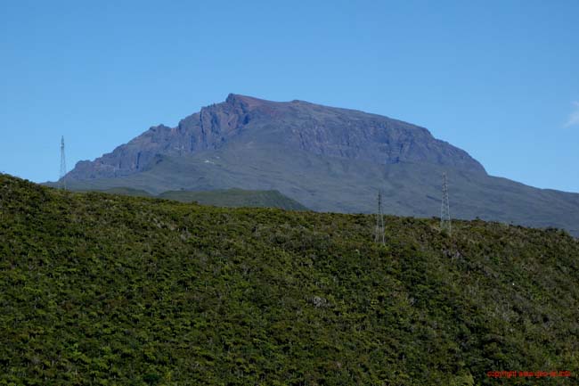 DSC01990