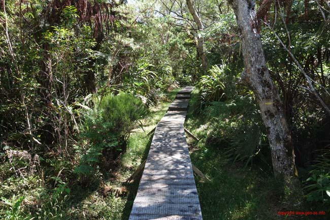 DSC02007