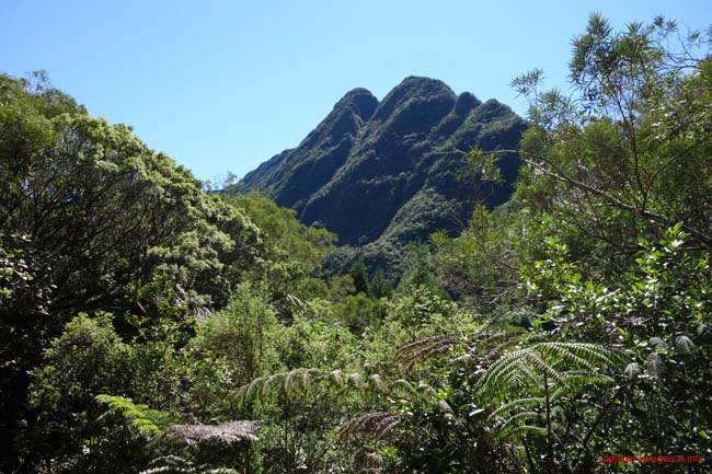 DSC02012