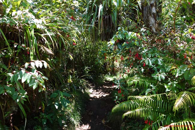 DSC02060