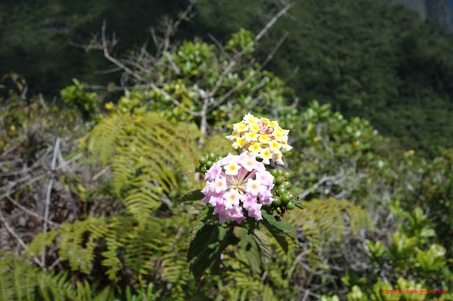 DSC02172