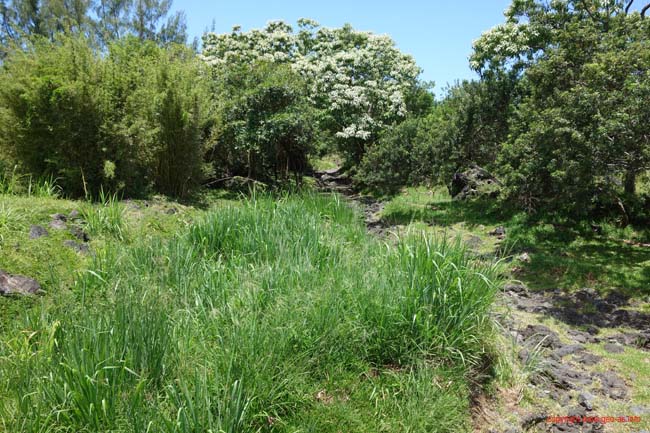 DSC02384