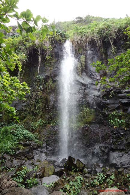 DSC02409