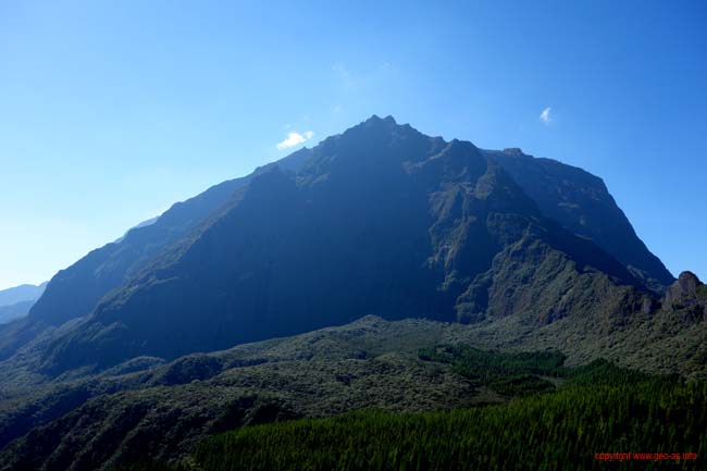 DSC02480