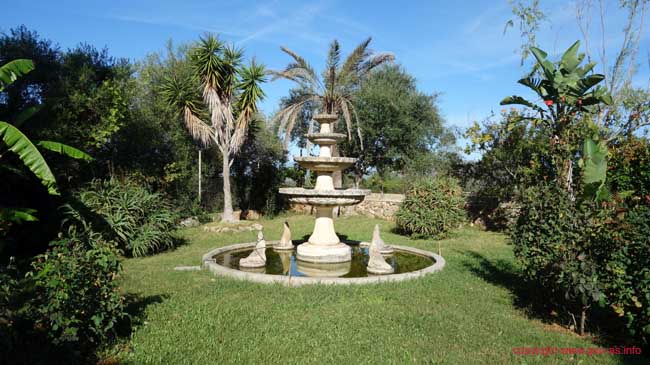 DSC08547