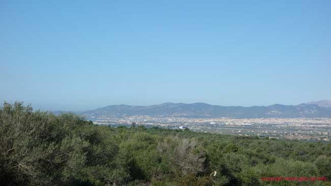 DSC08551