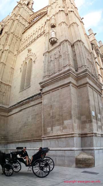 DSC08580