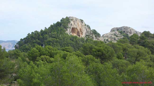 DSC08664