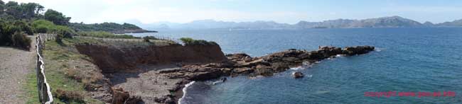 DSC08770