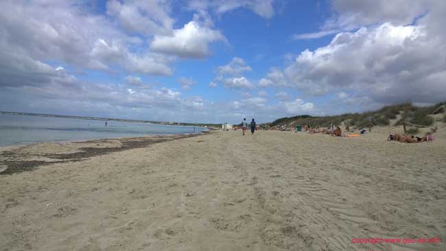 WP_20150924_11_58_21_Pro