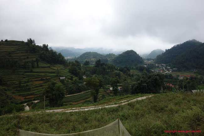 DSC04483