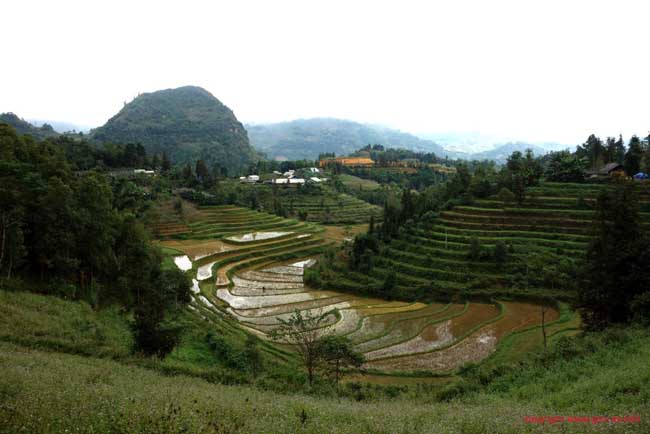 DSC04505