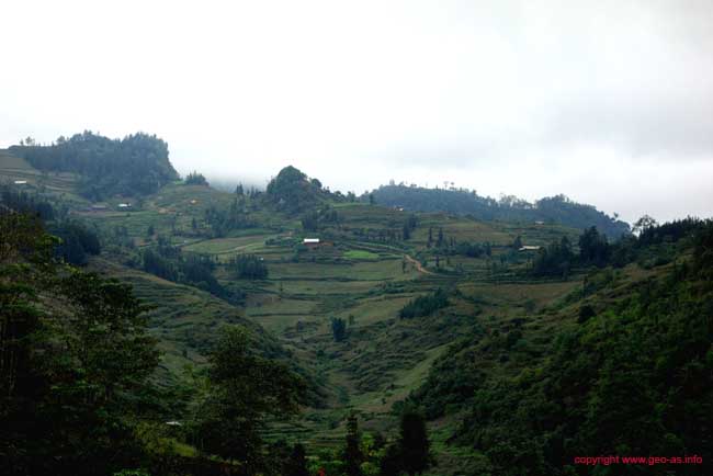DSC04513