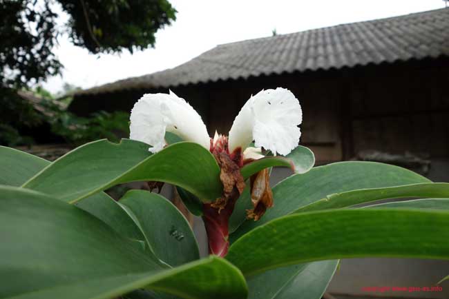 DSC04578