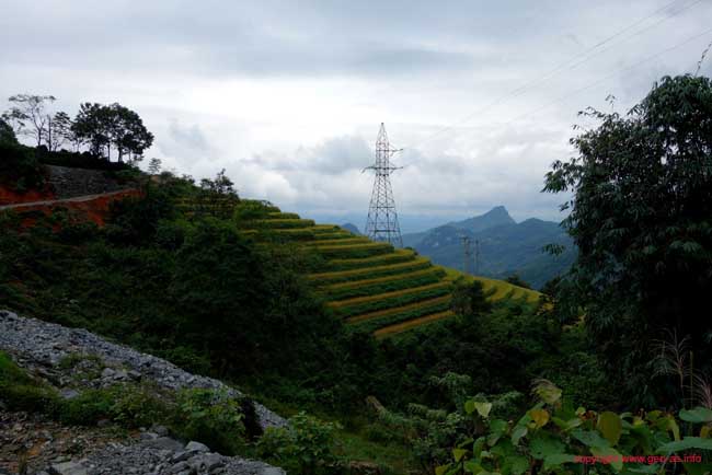 DSC04620
