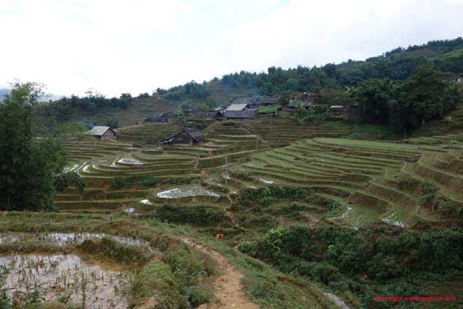 DSC04740