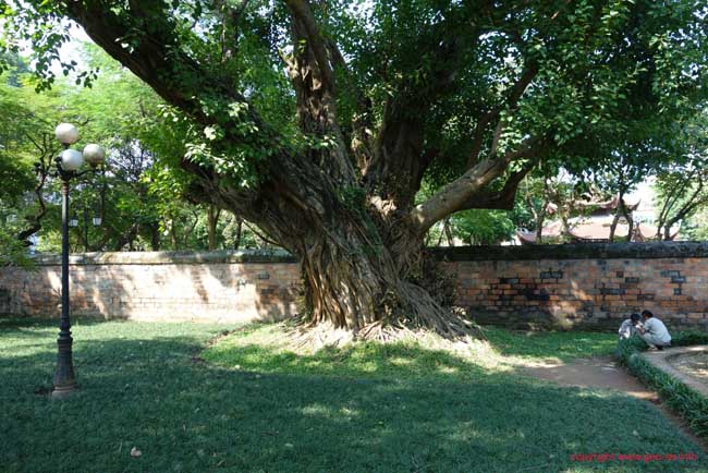 DSC05013