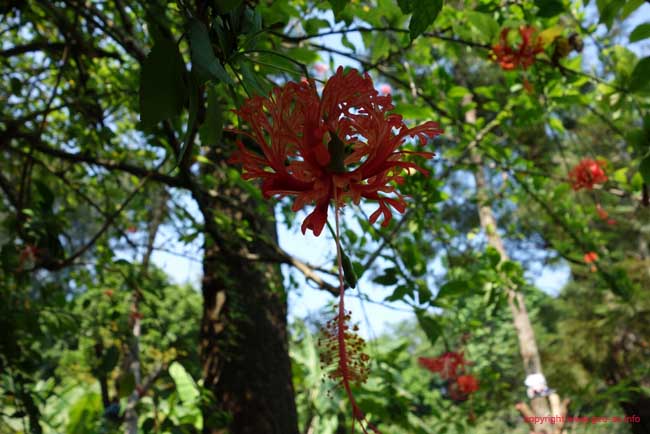DSC05033