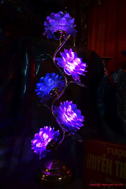 DSC05080