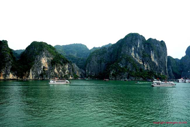 DSC05490
