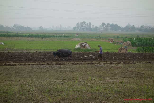 DSC05536