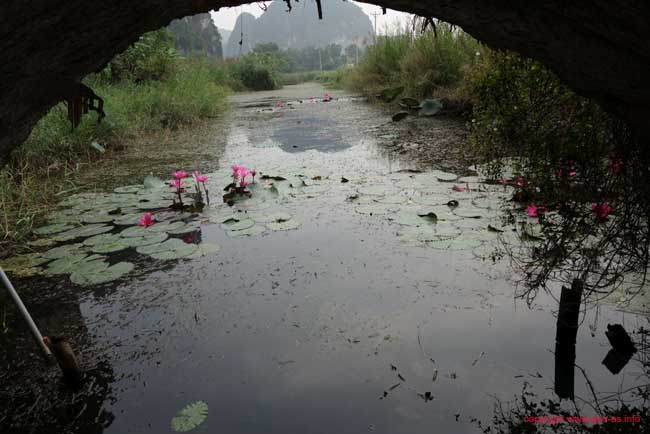 DSC05570