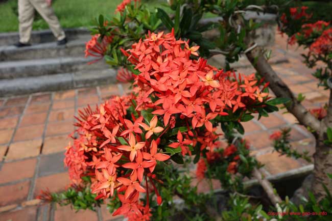 DSC06002