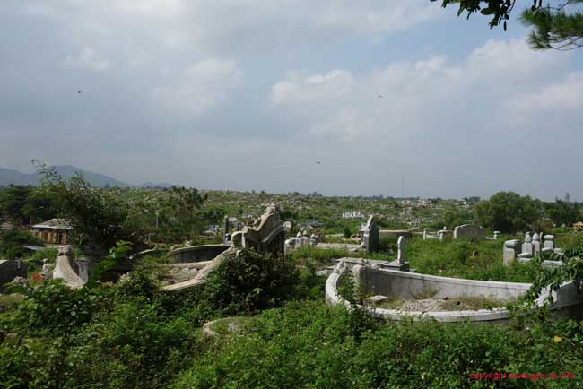 DSC06008