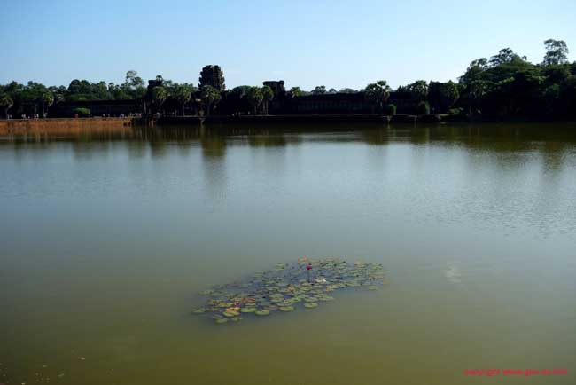 DSC07395